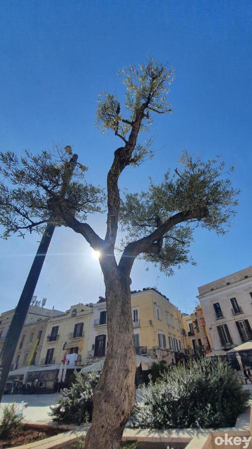 Dimora Donna Vittoria - Bari Vecchia Apartment Exterior foto